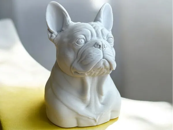 https://makerworld.bblmw.com/makerworld/model/USe525875c8b5318/design/2026-01-06_3ced049264d73.jpeg