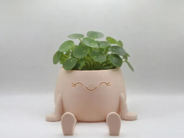https://makerworld.bblmw.com/makerworld/model/USe525ef81c1086e/design/7f50916d5ce464d3.png