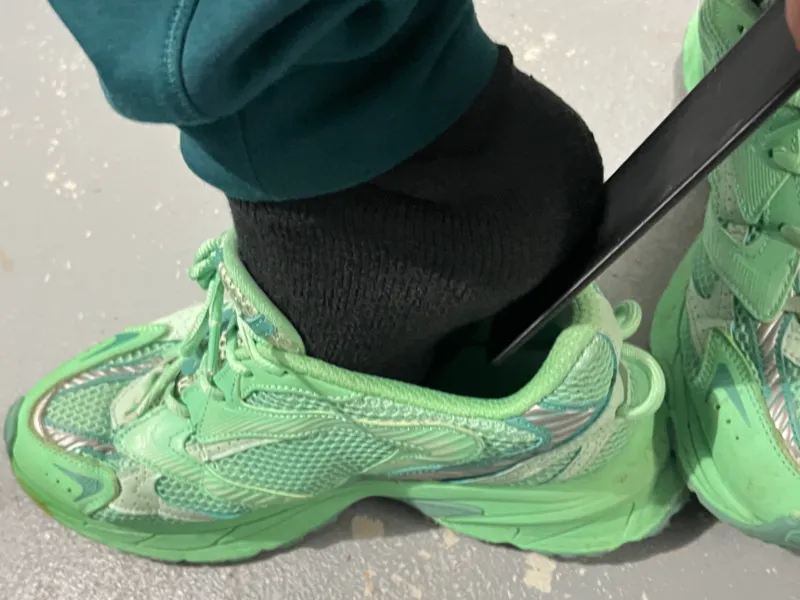 Shoe Horn mk1