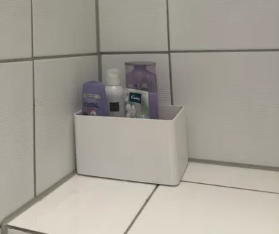 Showerbox V1 (Organizer)