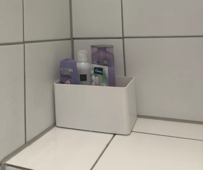 Showerbox V1 (Organizer)