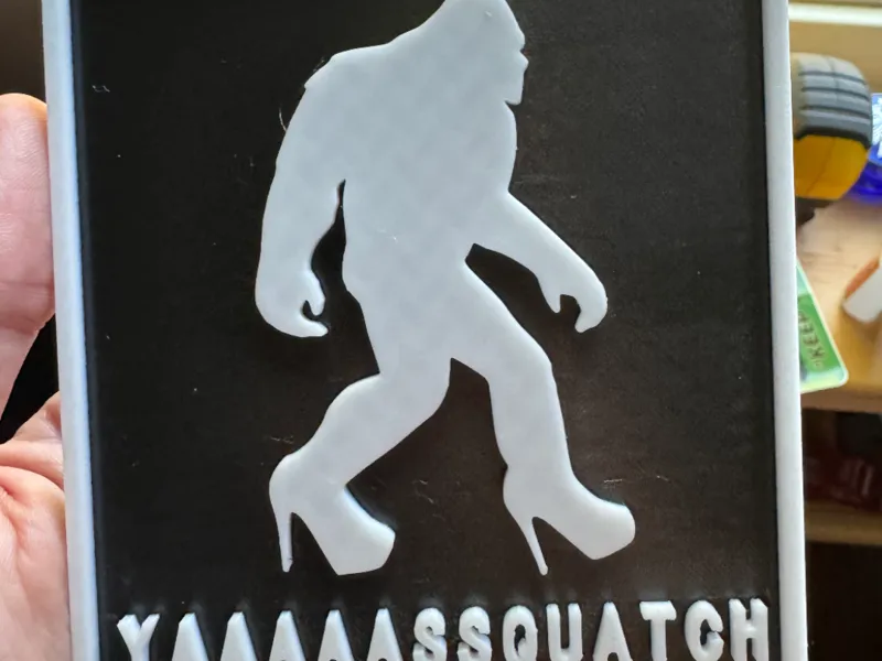 YAAAAASSQUATCH 