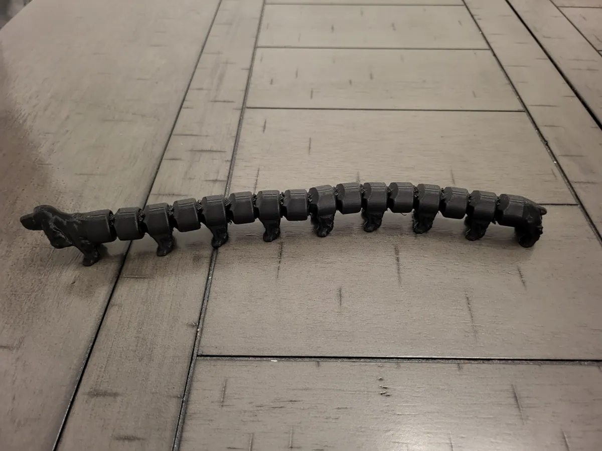 Teckel articulé