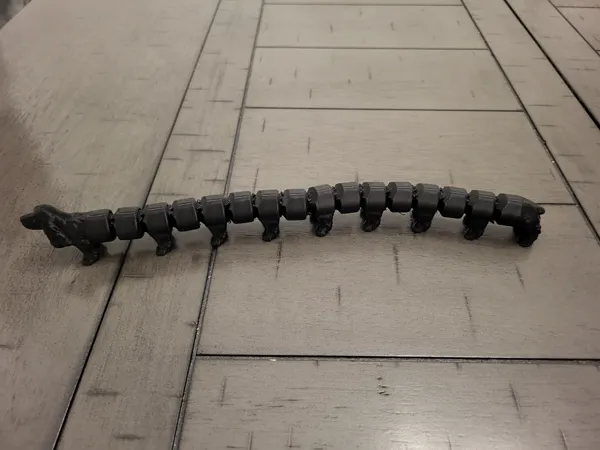 Teckel articulé