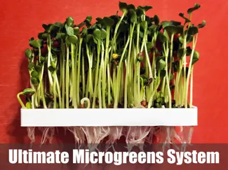 Ultimate Microgreens System