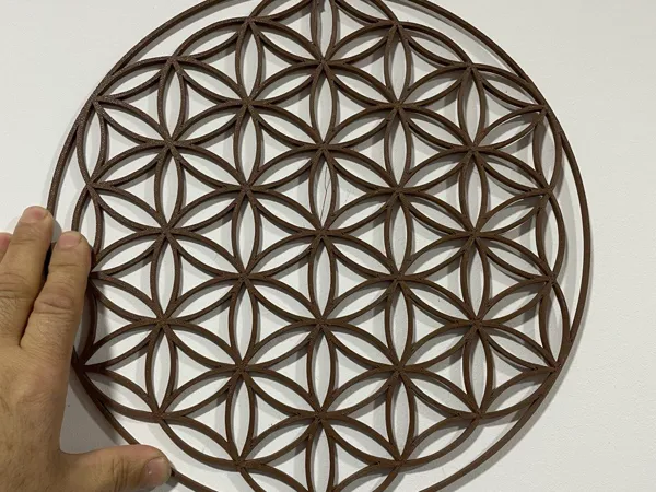 https://makerworld.bblmw.com/makerworld/model/USe555af2f8eb5cd/design/2025-01-08_74a9351e009f8.jpg