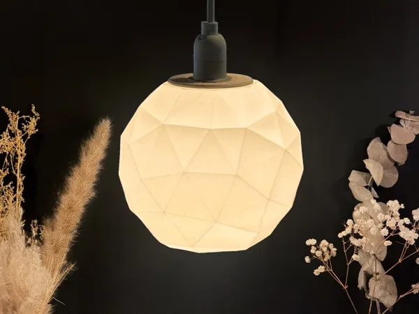 https://makerworld.bblmw.com/makerworld/model/USe5586cdcb36b20/design/2025-01-22_6f5b131bb612e.jpg