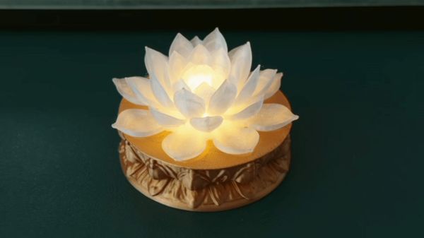 https://makerworld.bblmw.com/makerworld/model/USe55a5d81f8dc2/design/2025-11-03_e67aa9bb35181.gif