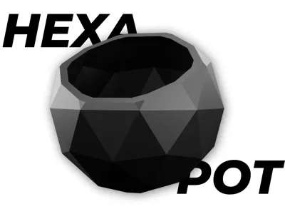 Hexa Pot