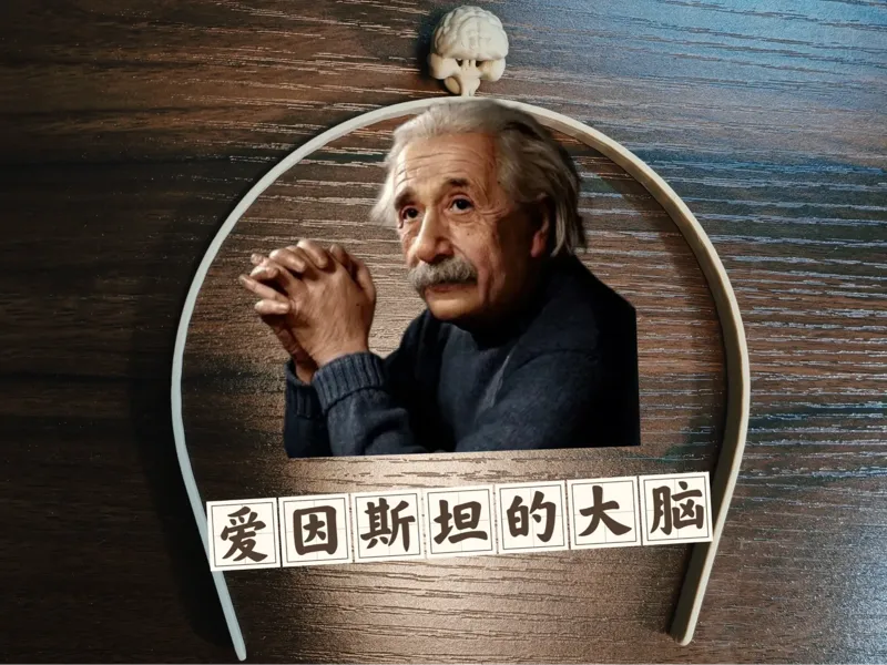 爱因斯坦大脑头箍(戴上立刻获得智商buff)