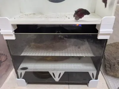 This 30*20cm turtle tank riser, stacking stand, and 6cm high bottom partition for inside the tank