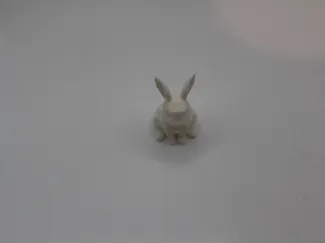 Easter Bunny