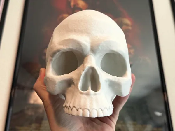 https://makerworld.bblmw.com/makerworld/model/USe56247e9045ac/design/2024-06-07_cfe17511ef70e.jpg