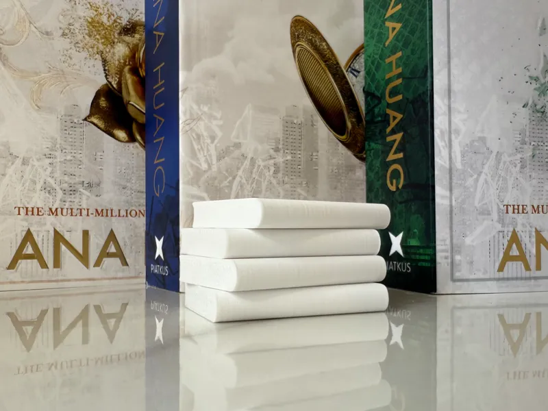 Mini book blanks