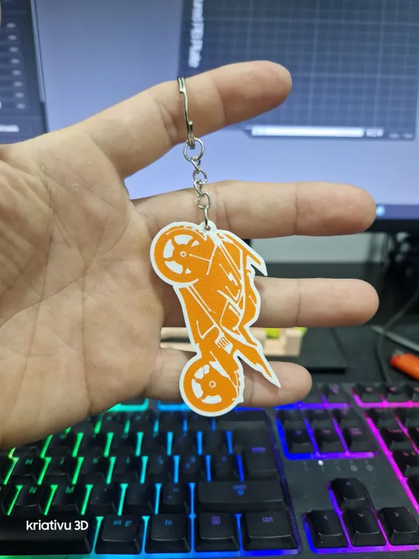 https://makerworld.bblmw.com/makerworld/model/USe56444146c2668/design/2024-03-01_cd4b31b02a466.jpg