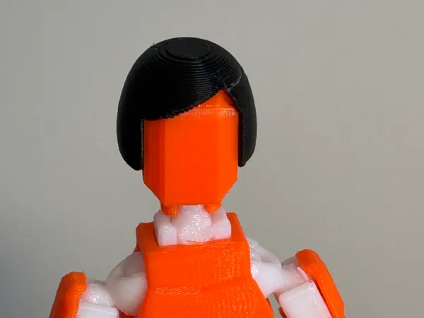 https://makerworld.bblmw.com/makerworld/model/USe56e22412174e7/design/2024-11-16_8e59e548f61b9.jpeg