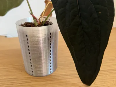airy pot for aroids