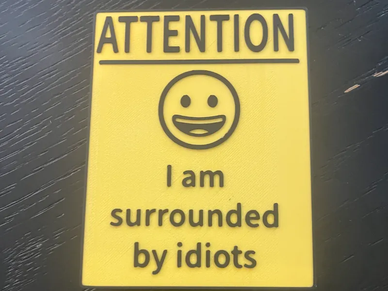 I am surrounded by idiots