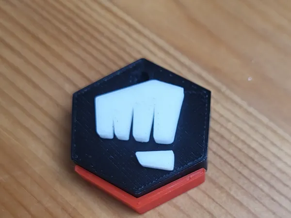 https://makerworld.bblmw.com/makerworld/model/USe5759f58751c3/design/2025-05-05_69218a382ac42.jpg