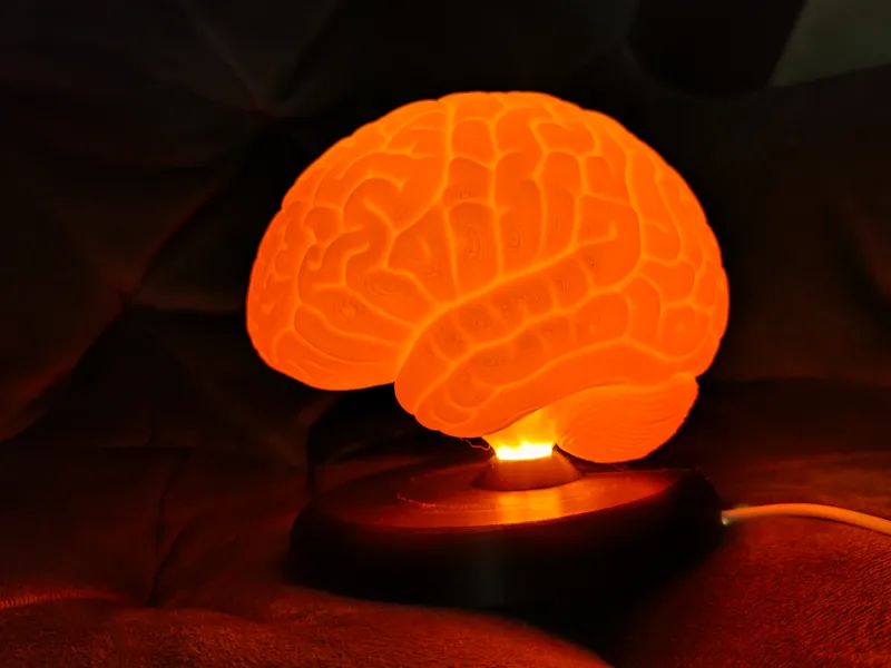 NeuroGlow – Anatomical Brain Lamp 