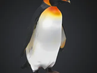Penguin