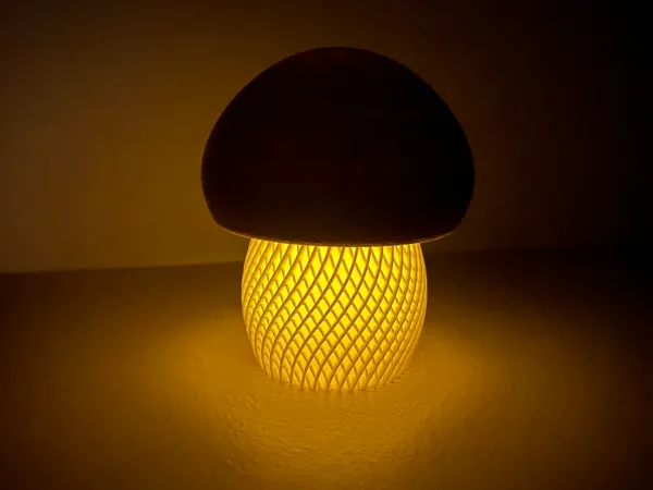 https://makerworld.bblmw.com/makerworld/model/USe57ade18f05d67/design/2025-11-10_068f8913d18798.jpg