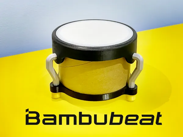 https://makerworld.bblmw.com/makerworld/model/USe57bbe0abb414f/design/2025-03-11_27d766bc966ed8.jpg
