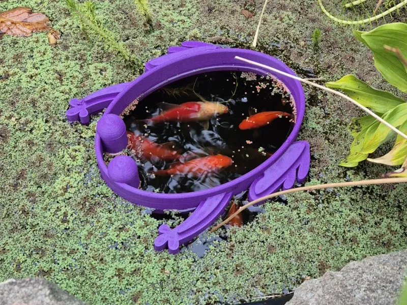 Large Fish Feeding Portal
