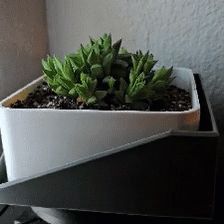Square Planter