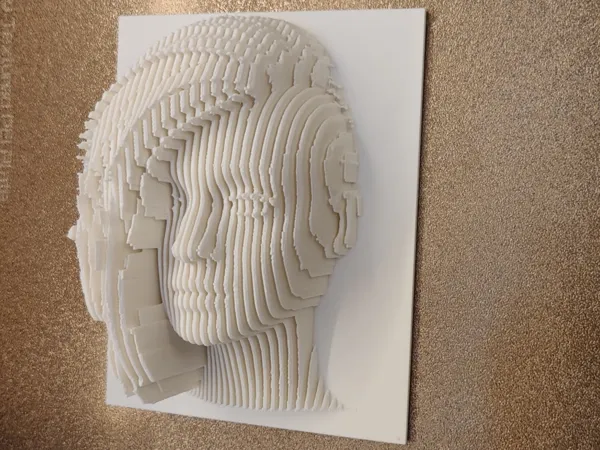https://makerworld.bblmw.com/makerworld/model/USe57fc1990f1f5b/design/2025-02-14_24ad3b460dad3.jpg