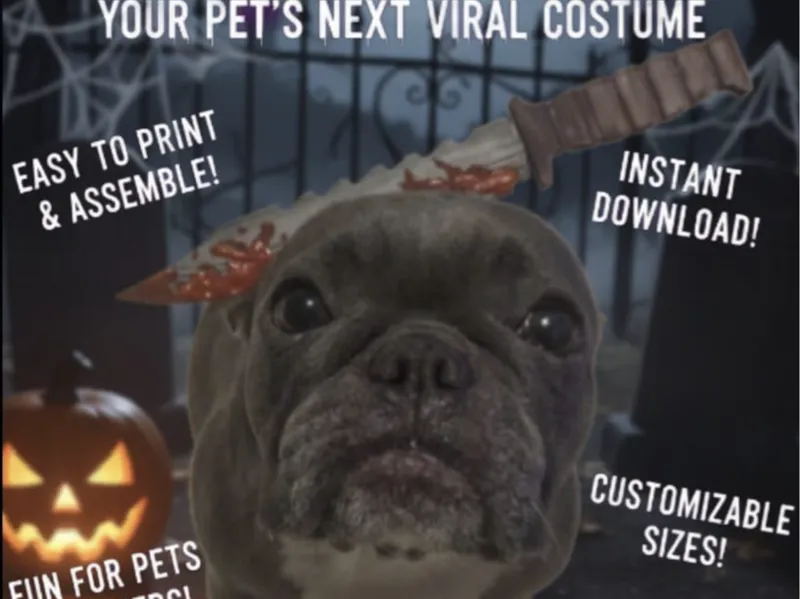 Pet Halloween Costume: The Furry Nightmare!