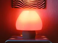 Lamp Shade