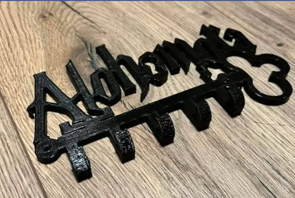 https://makerworld.bblmw.com/makerworld/model/USe58506d0fea8ac/design/2024-01-18_4020db1cfcb81.png