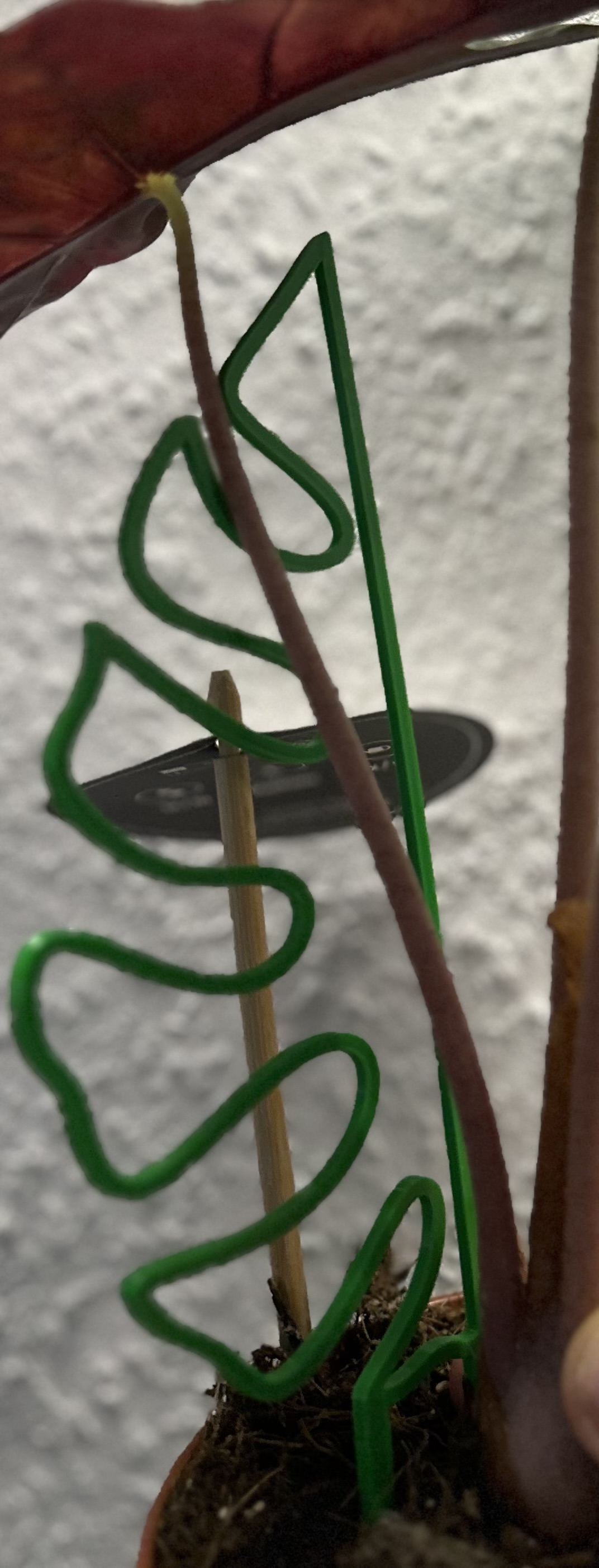 Miniatura 2 do modelo 3D Monstera leaf trellis