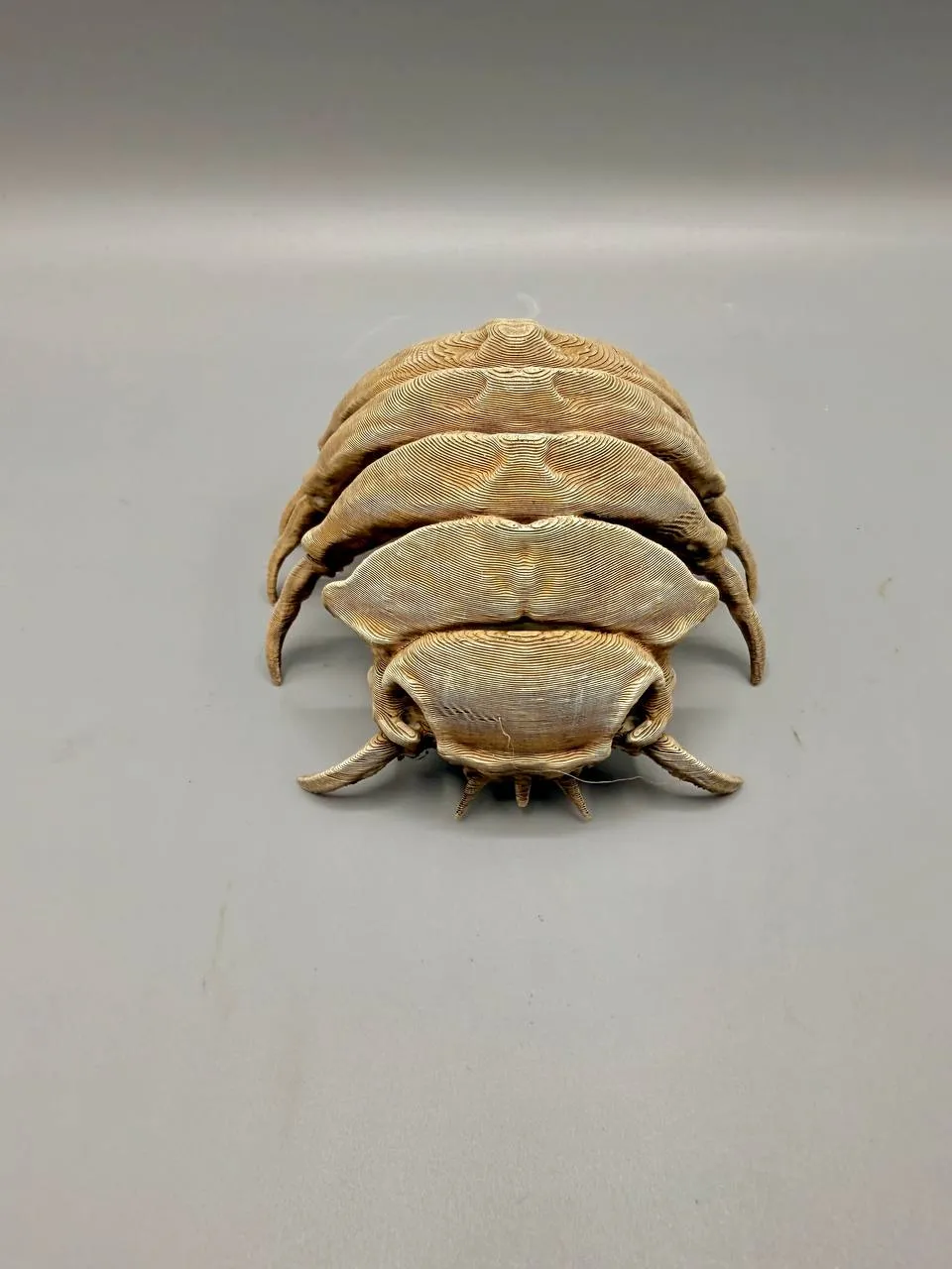 Isopod Fossil Free 3D Print Model MakerWorld Isopod Fossil Free 3D Print Model MakerWorld