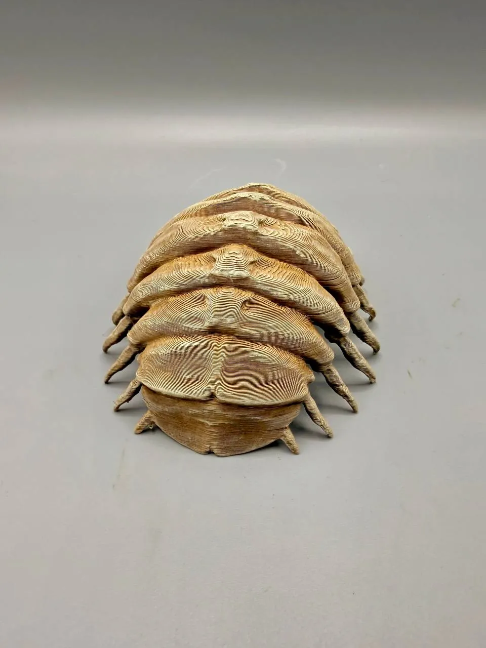 Isopod Fossil Free 3D Print Model MakerWorld Isopod Fossil Free 3D Print Model MakerWorld