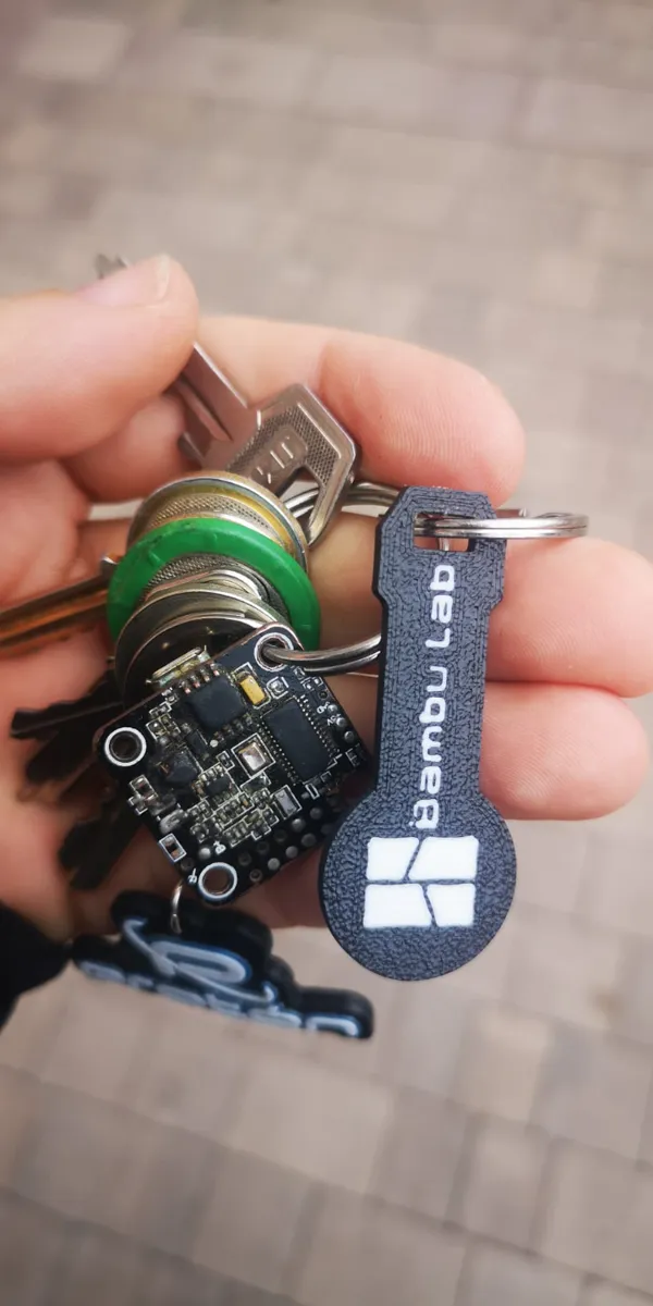 https://makerworld.bblmw.com/makerworld/model/USe58d5b277a48af/design/2024-02-07_115822d562119.jpeg