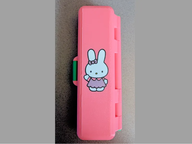 Case glasses/Pens/Tools/etc Kitty Bunny