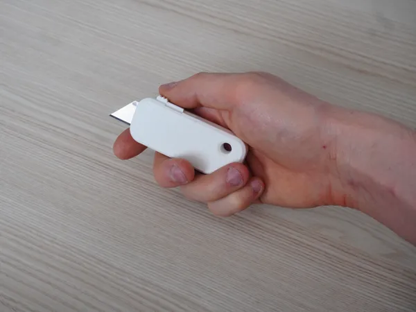 https://makerworld.bblmw.com/makerworld/model/USe5942229922187/design/2025-03-23_f520e39310275.jpg