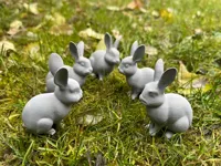 Lapins domestiques mignons — photo 2
