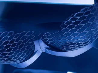 Fishnet Bra