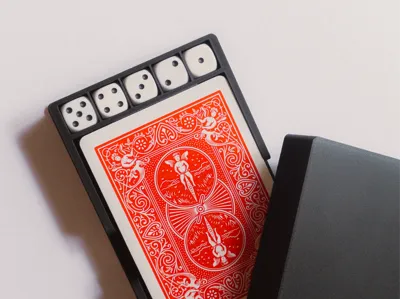 Playing card and dice case