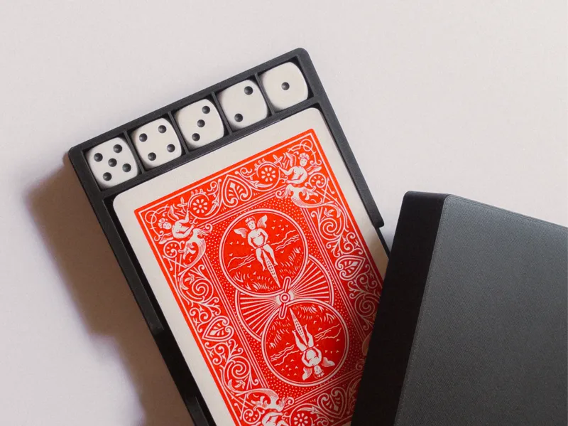 Playing card and dice case
