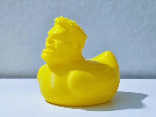 https://makerworld.bblmw.com/makerworld/model/USe5a04c76569de0/design/d891f2c4dbbbce30.jpg