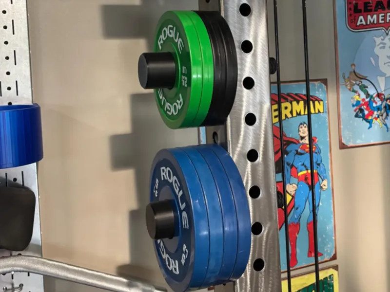 Plate Holder for Racks