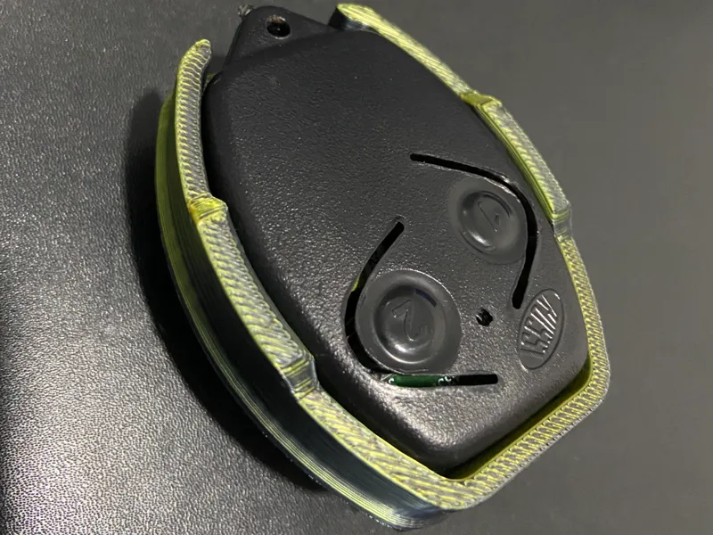 Rossi control case