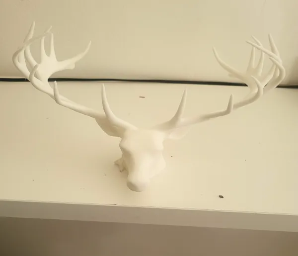 https://makerworld.bblmw.com/makerworld/model/USe5a40a1f1d3901/design/2024-12-01_d5bb5e6d163ae.jpg