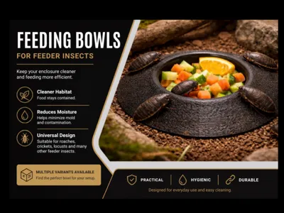 Round Feeding Bowl – 360° Ramp