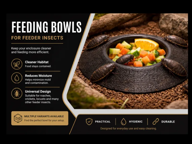 Round Feeding Bowl – 360° Ramp