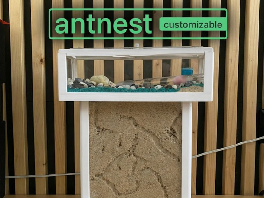 Customizable Sand Ant nest